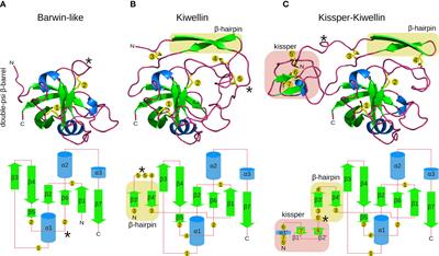 Evolutionary reconstruction, nomenclature and functional meta-analysis of the Kiwellin protein family